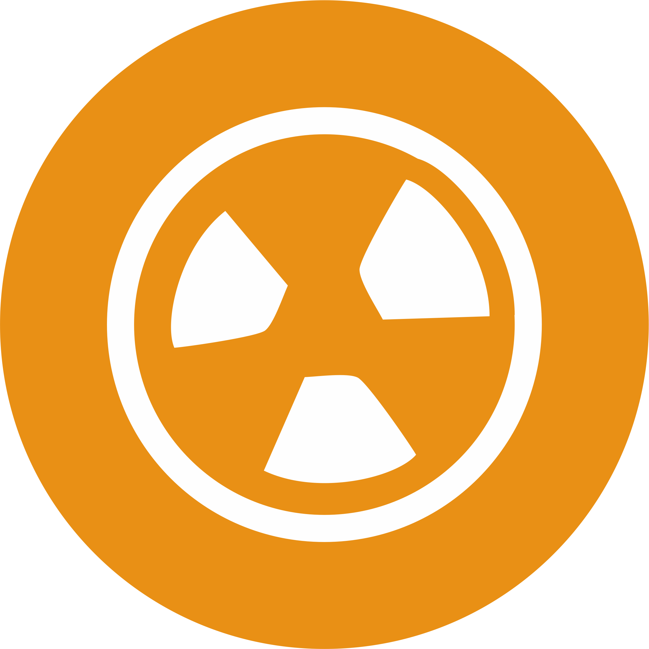 Radiology (CT Scan, X-Ray & Sonography)